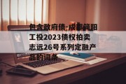 包含政府债-成都简阳工投2023债权拍卖志远26号系列定融产品的词条