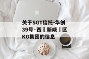 关于SGT信托-华创39号·西‮新咸‬区KG集团的信息