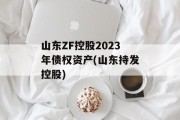 山东ZF控股2023年债权资产(山东持发控股)