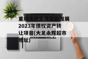 重庆大足永晟实业发展2023年债权资产转让项目(大足永辉超市地址)