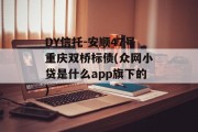 DY信托-安顺47号重庆双桥标债(众网小贷是什么app旗下的)
