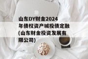 山东DY财金2024年债权资产城投债定融(山东财金投资发展有限公司)