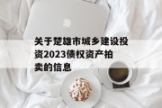 关于楚雄市城乡建设投资2023债权资产拍卖的信息