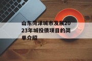 山东菏泽城市发展2023年城投债项目的简单介绍