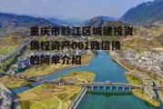 重庆市黔江区城建投资债权资产001政信债的简单介绍