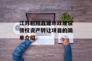 江苏射阳鑫建市政建设债权资产转让项目的简单介绍