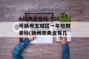 A级央企信托-556号扬州主城区一年短期非标(扬州市央企有几家?)