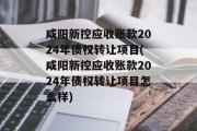 咸阳新控应收账款2024年债权转让项目(咸阳新控应收账款2024年债权转让项目怎么样)