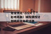 包含河北·ZZZR（赵州兆融）城投债权计划政府定融的词条