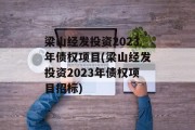 梁山经发投资2023年债权项目(梁山经发投资2023年债权项目招标)