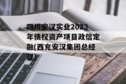 四川安汉实业2023年债权资产项目政信定融(西充安汉集团总经理)