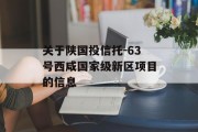 关于陕国投信托-63号西咸国家级新区项目的信息