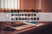 云南蒙自市城市建设投资2024年收益权转让(蒙自城投公司董事长)