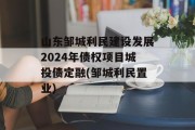 山东邹城利民建设发展2024年债权项目城投债定融(邹城利民置业)