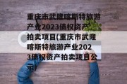 重庆市武隆喀斯特旅游产业2023债权资产拍卖项目(重庆市武隆喀斯特旅游产业2023债权资产拍卖项目公示)