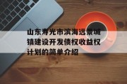 山东寿光市滨海远景城镇建设开发债权收益权计划的简单介绍