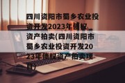 四川资阳市蜀乡农业投资开发2023年债权资产拍卖(四川资阳市蜀乡农业投资开发2023年债权资产拍卖项目)