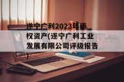 遂宁广利2023年债权资产(遂宁广利工业发展有限公司评级报告)