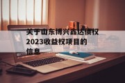 关于山东博兴鑫达债权2023收益权项目的信息
