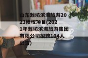 山东潍坊滨海旅游2023债权项目(2021年潍坊滨海旅游集团有限公司招聘104人公告)