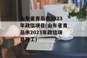 山东省青岛市2023年政信项目(山东省青岛市2023年政信项目开工)