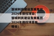 邹城利民建设发展集团2024年债权项目(邹城利民建设发展集团2024年债权项目有哪些)