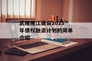 武隆隆江建设2023年债权融资计划的简单介绍