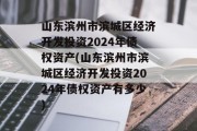 山东滨州市滨城区经济开发投资2024年债权资产(山东滨州市滨城区经济开发投资2024年债权资产有多少)