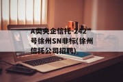 A类央企信托-242号徐州SN非标(徐州信托公司招聘)