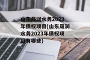 山东晟润水务2023年债权项目(山东晟润水务2023年债权项目有哪些)