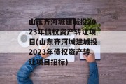 山东齐河城建城投2023年债权资产转让项目(山东齐河城建城投2023年债权资产转让项目招标)