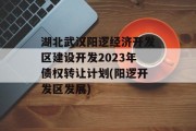 湖北武汉阳逻经济开发区建设开发2023年债权转让计划(阳逻开发区发展)