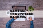 山东泰丰控股2024年债权资产项目(山东泰丰控股集团)