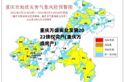 重庆万盛实业发展2022债权资产(重庆万盛房产)