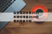 山东晟润水务2023年债权项目2024在售的简单介绍