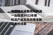 包含四川成都简阳两湖一山投资2023年债权资产拍卖政府债定融项目的词条