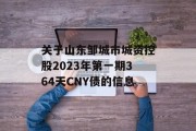 关于山东邹城市城资控股2023年第一期364天CNY债的信息