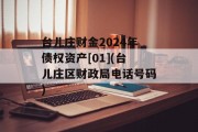 台儿庄财金2024年债权资产[01](台儿庄区财政局电话号码)