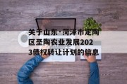关于山东·菏泽市定陶区圣陶农业发展2023债权转让计划的信息