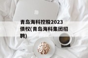 青岛海科控股2023债权(青岛海科集团招聘)
