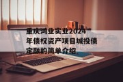 重庆鸿业实业2024年债权资产项目城投债定融的简单介绍