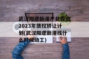 武汉阳逻新港产业投资2023年债权转让计划(武汉阳逻新港线什么时候动工)