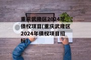 重庆武隆区2024年债权项目(重庆武隆区2024年债权项目招标)