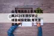 山东寿光市昇景海洋发展2024年债权转让项目城投定融(寿光圣景地产)