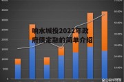 响水城投2022年政府债定融的简单介绍