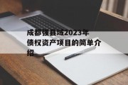 成都强县域2023年债权资产项目的简单介绍