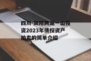 四川-简阳两湖一山投资2023年债权资产拍卖的简单介绍