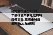 延安城市建投2023年债权资产转让政府城投债定融(延安市城投集团2021年项目)