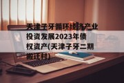天津子牙循环经济产业投资发展2023年债权资产(天津子牙二期搬迁村)