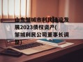 山东邹城市利民建设发展2023债权资产(邹城利民公司董事长调整)